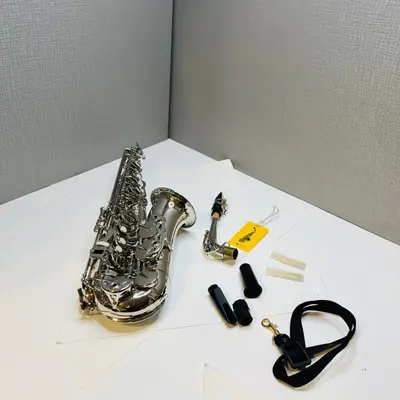 Wexler Student Eb Alto Saxophone Nickel Plated with Mouthpiece and Hard Case - Thumbnail 6