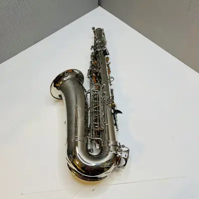 Wexler Student Eb Alto Saxophone Nickel Plated with Mouthpiece and Hard Case - Thumbnail 3