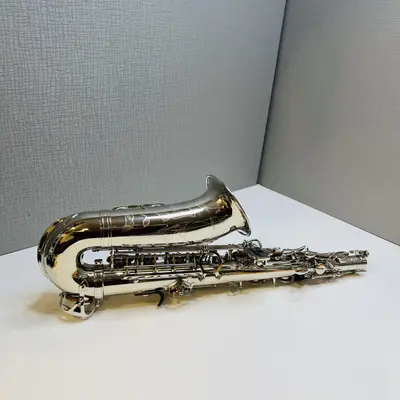 Wexler Student Eb Alto Saxophone Nickel Plated with Mouthpiece and Hard Case - Thumbnail 4