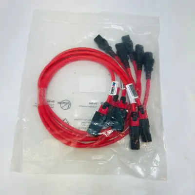 Z-Lock Dual Locking IEC320 C14 to C13 Power Cable 1M 14AWG - Thumbnail 2