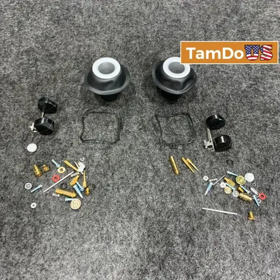 Zreneyfex 2 Packs Carburetor Repair Rebuild Kit FRCH00569 - New - Real photo at TamDo.us